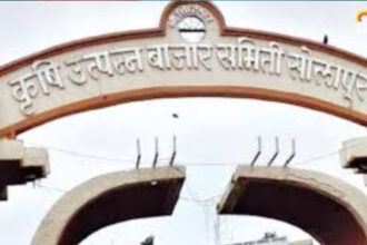 सोलापूर कृषी उत्पन्न बाजार समिती